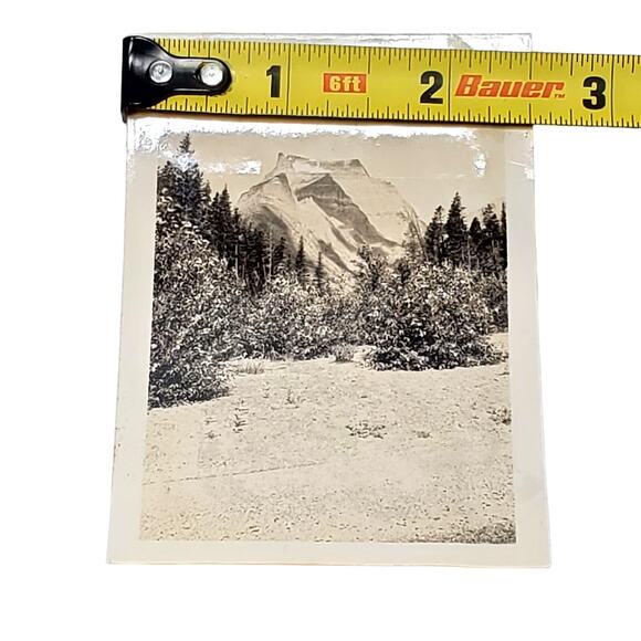 Vtg B&W Photo 1940 Found Yellowstone National Park Snowy Trees Mountain Snapshot - Picture 4 of 4